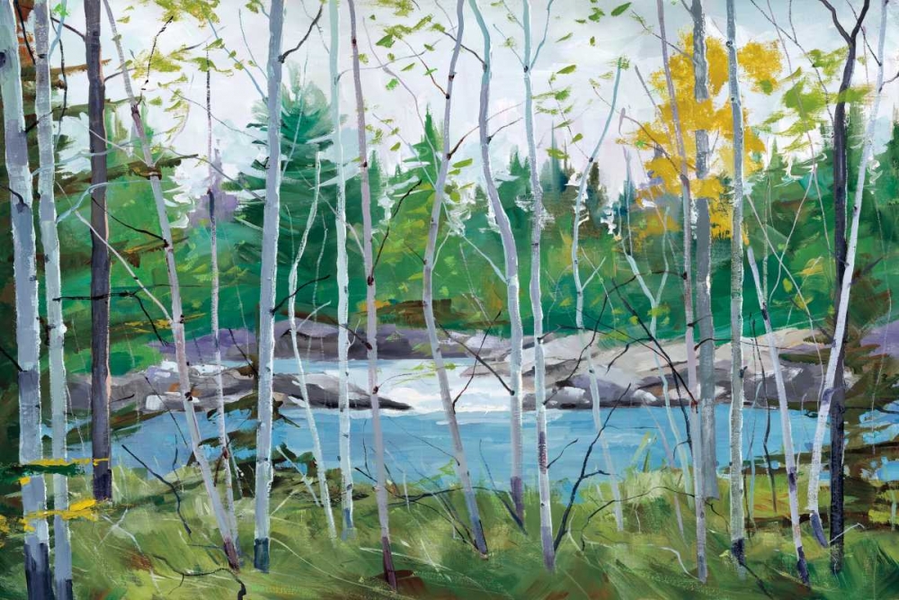 Oxtounge Rapids art print by Graham Forsythe for $57.95 CAD