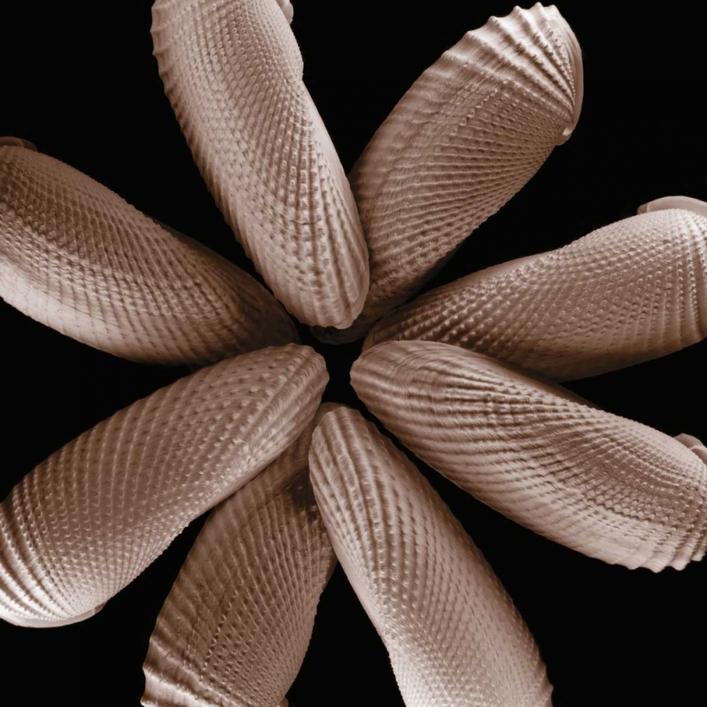 Convergence art print by Michael Faragher for $57.95 CAD