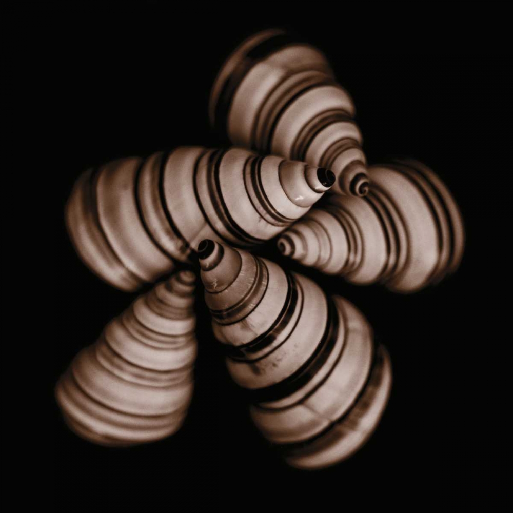 Focus art print by Michael Faragher for $57.95 CAD