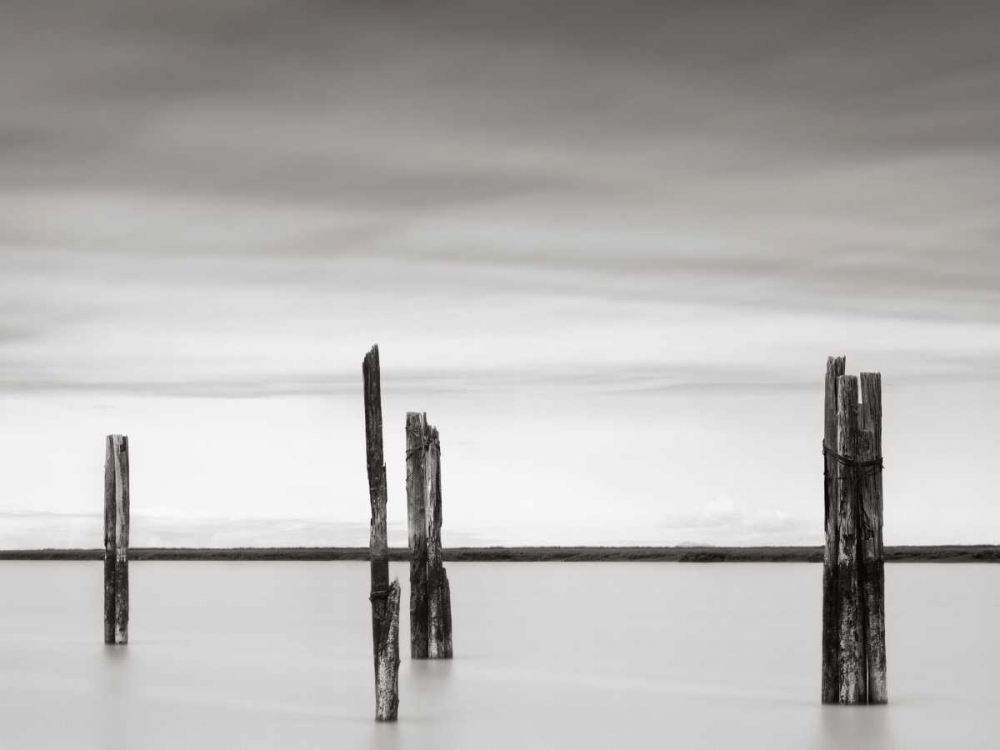 Cluster of Posts II art print by Lawrence Hislop for $57.95 CAD