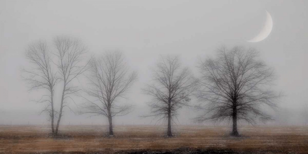 Early December art print by Heather Jacks for $57.95 CAD