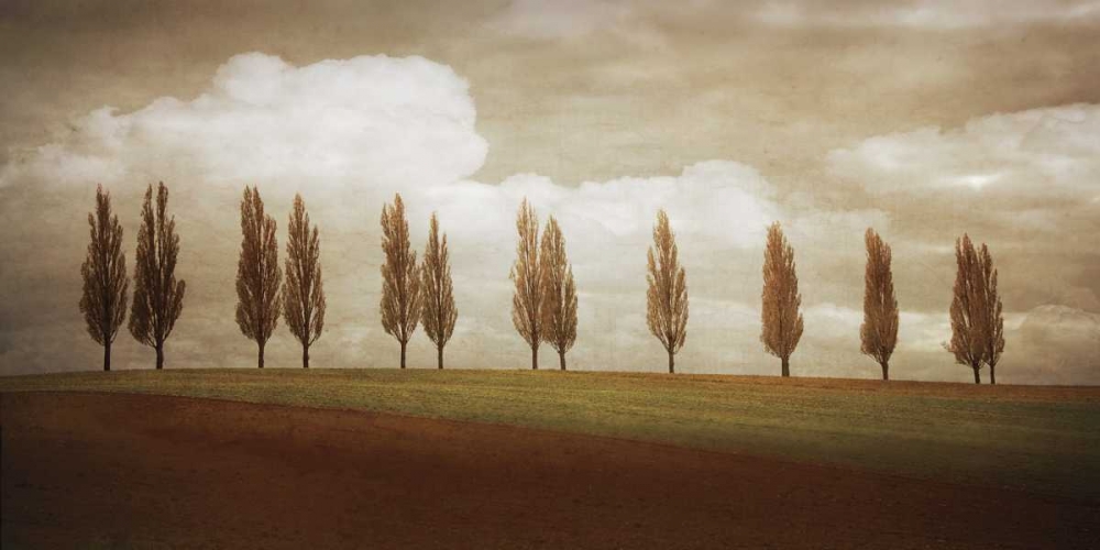 Before the Valley art print by Heather Jacks for $57.95 CAD