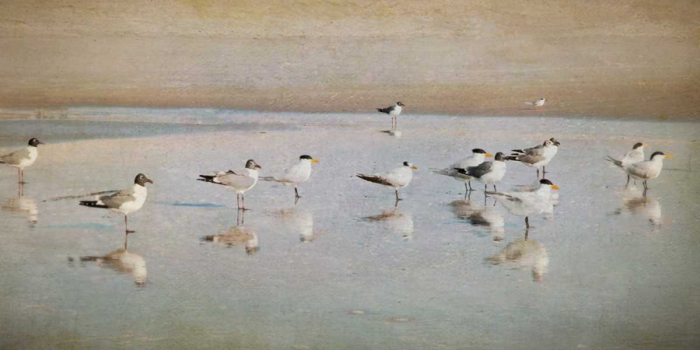 Coastal Reflections art print by Heather Jacks for $57.95 CAD