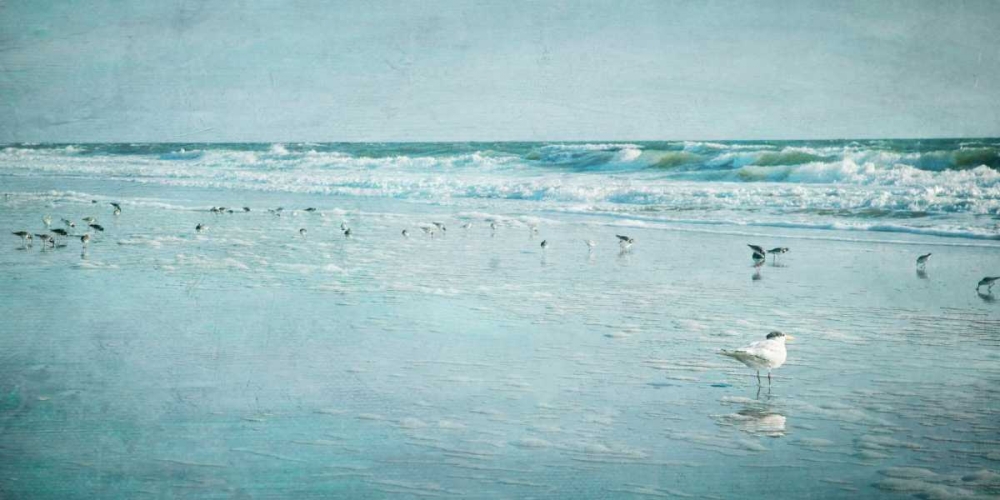 Coastal Breeze art print by Heather Jacks for $57.95 CAD