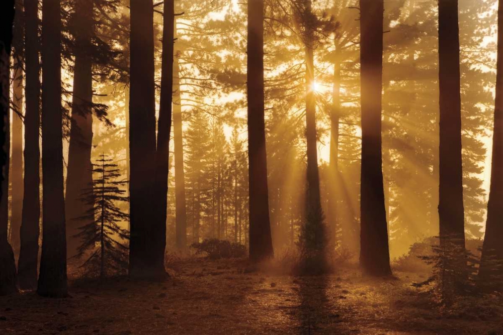Tahoe Smoky Sunrise art print by Mike Jones for $57.95 CAD