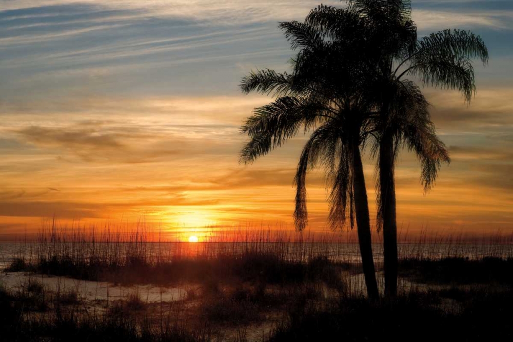 Ana Maria Sunset art print by Mike Jones for $57.95 CAD