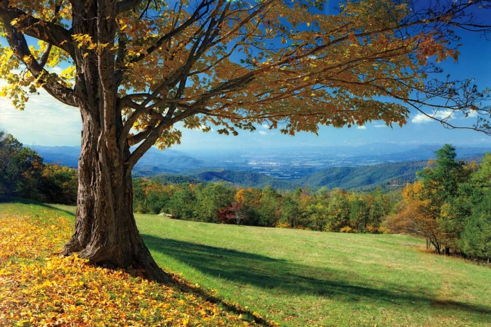 Blue Ridge Beauty art print by Mike Jones for $57.95 CAD