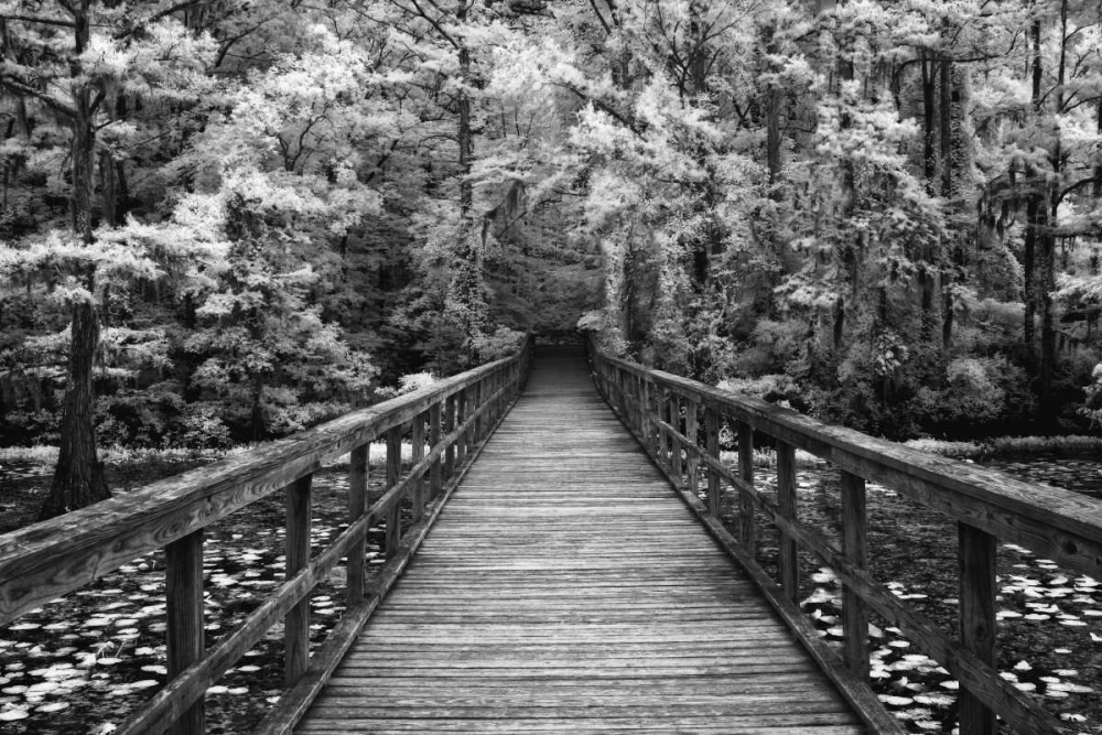 A Walk Into Tranquility art print by Mike Jones for $57.95 CAD