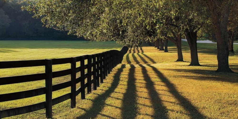 Chasing Shadows art print by Mike Jones for $57.95 CAD
