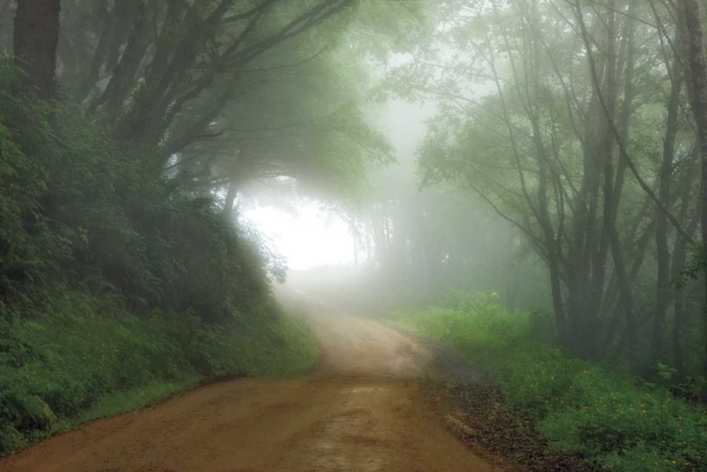 Road to Nowhere art print by Mike Jones for $57.95 CAD