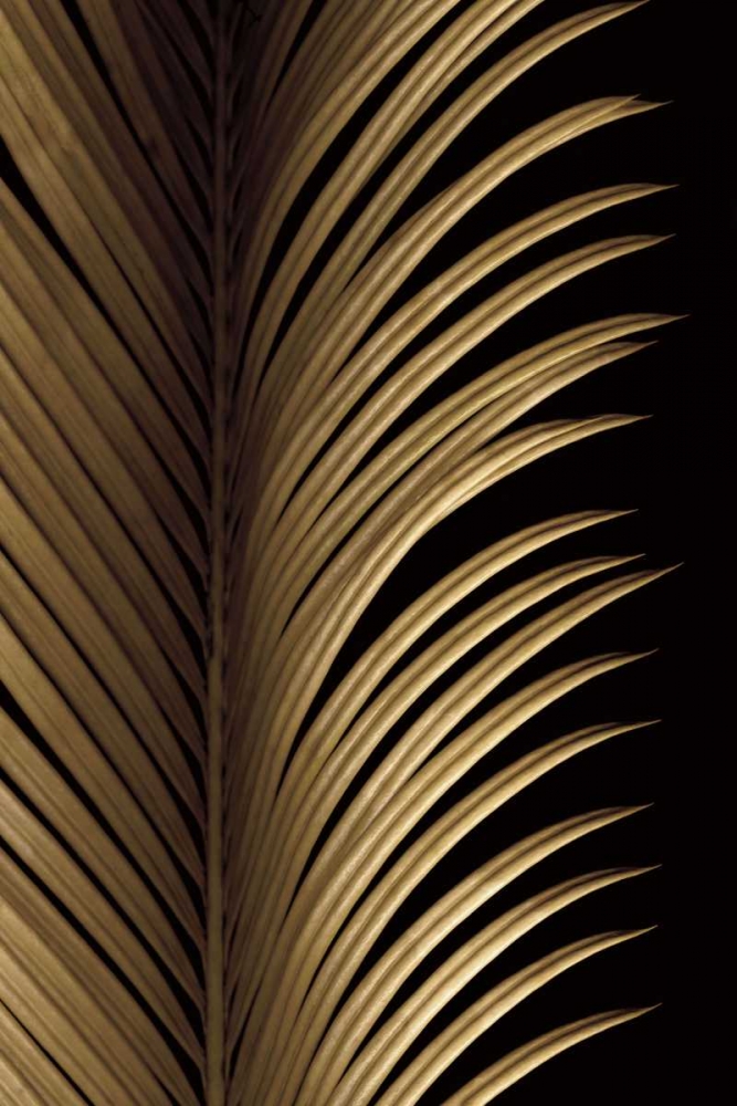 Tropical Leaf Study I art print by Andrew Levine for $57.95 CAD