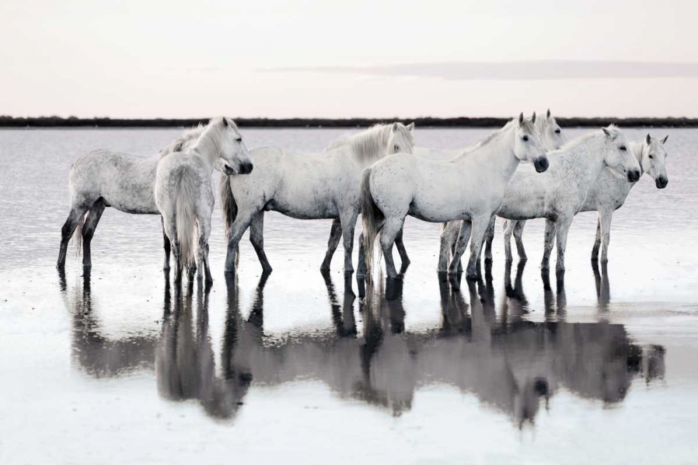 Calm Waters art print by Jorge Llovet for $57.95 CAD