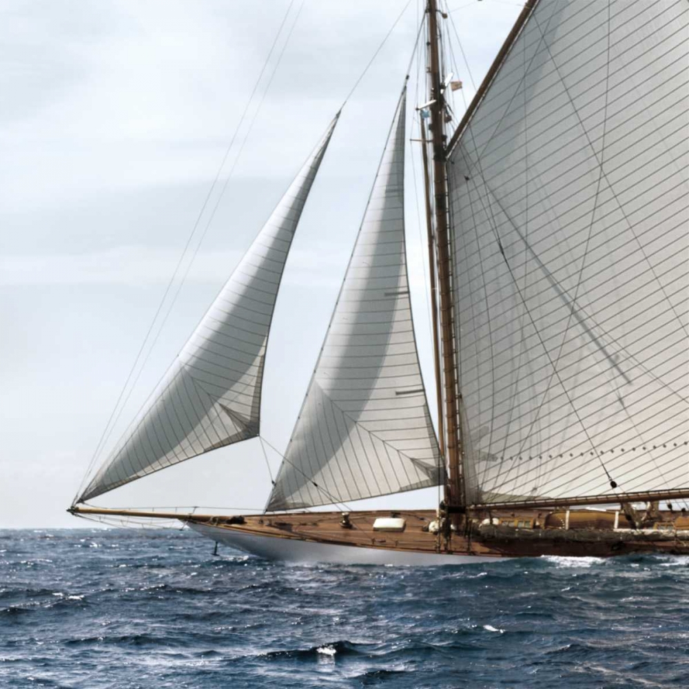Sailing South art print by Jorge Llovet for $57.95 CAD