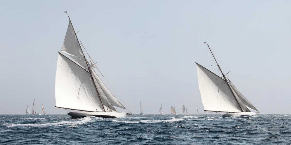 Sailing South art print by Jorge Llovet for $57.95 CAD