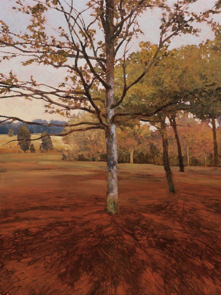 Noix art print by Kent Lovelace for $57.95 CAD