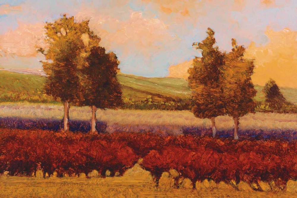 St. Pierre art print by Kent Lovelace for $57.95 CAD
