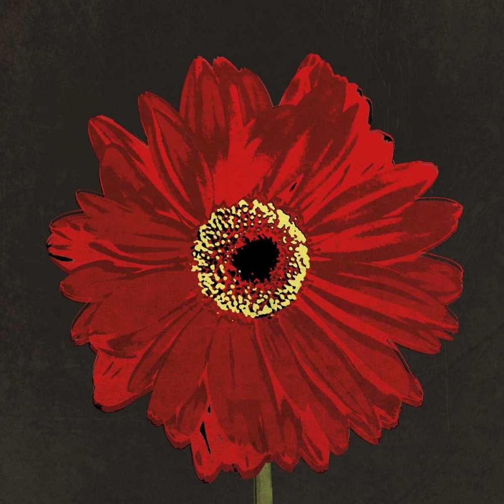 Midnight Gerbera III art print by Robert Lacie for $57.95 CAD