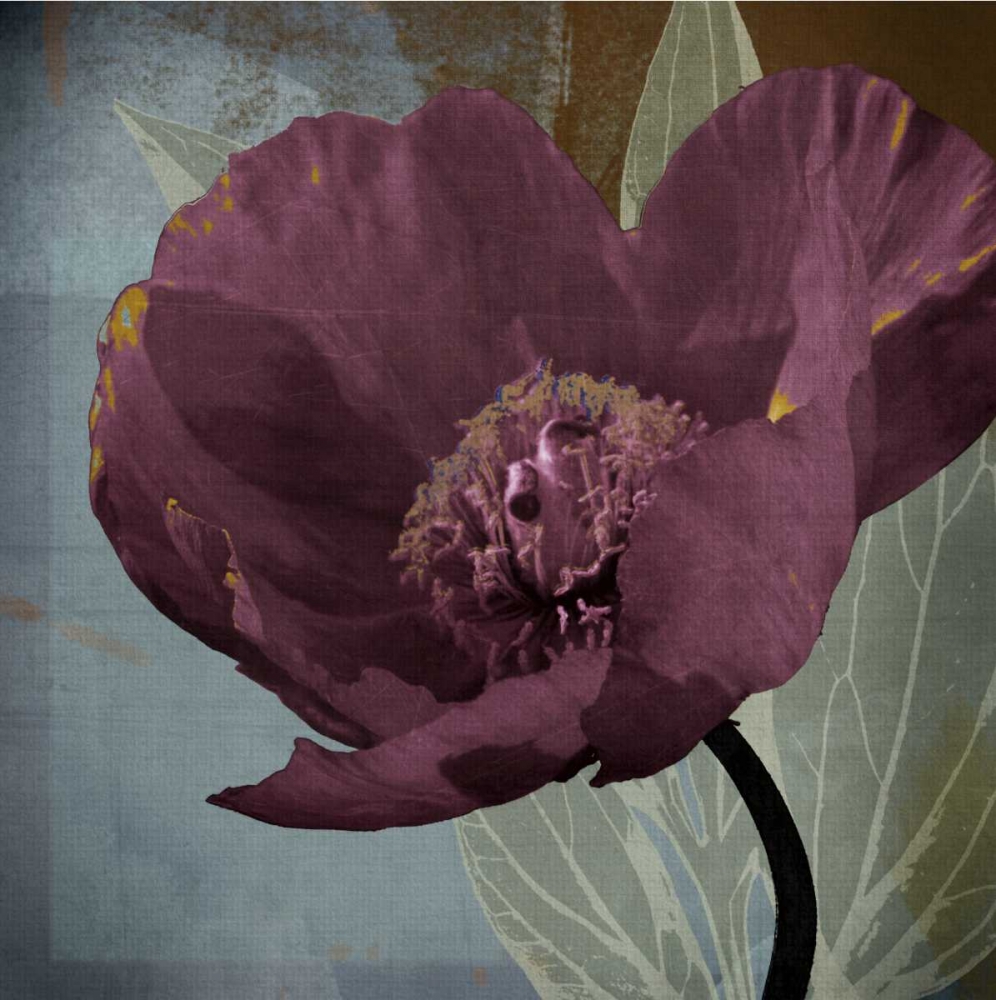 Blooming Jewels art print by Robert Lacie for $57.95 CAD
