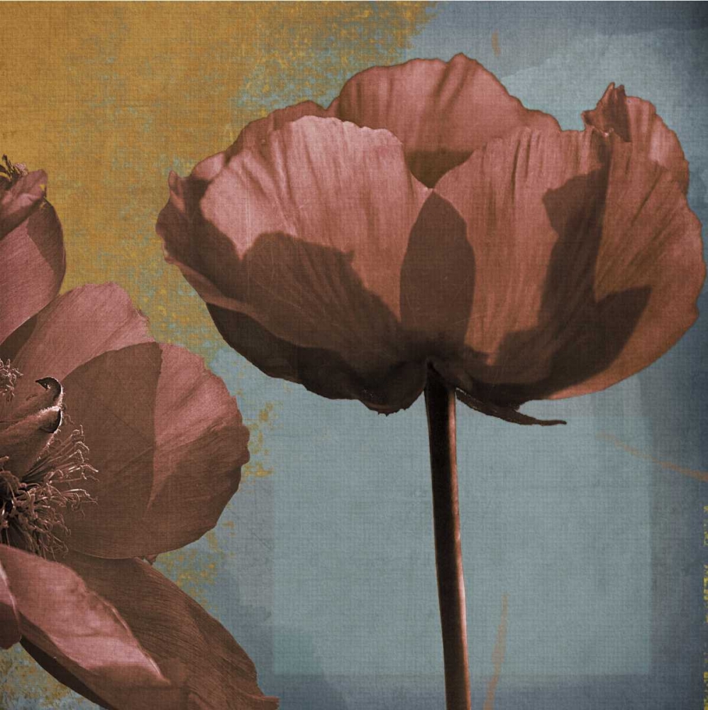 Blooming Jewels art print by Robert Lacie for $57.95 CAD