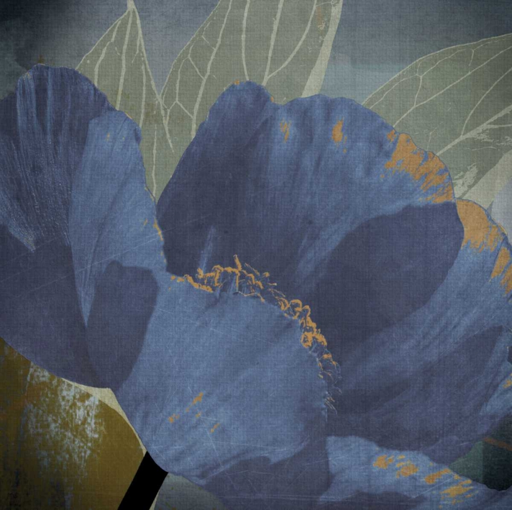 Blooming Jewels art print by Robert Lacie for $57.95 CAD