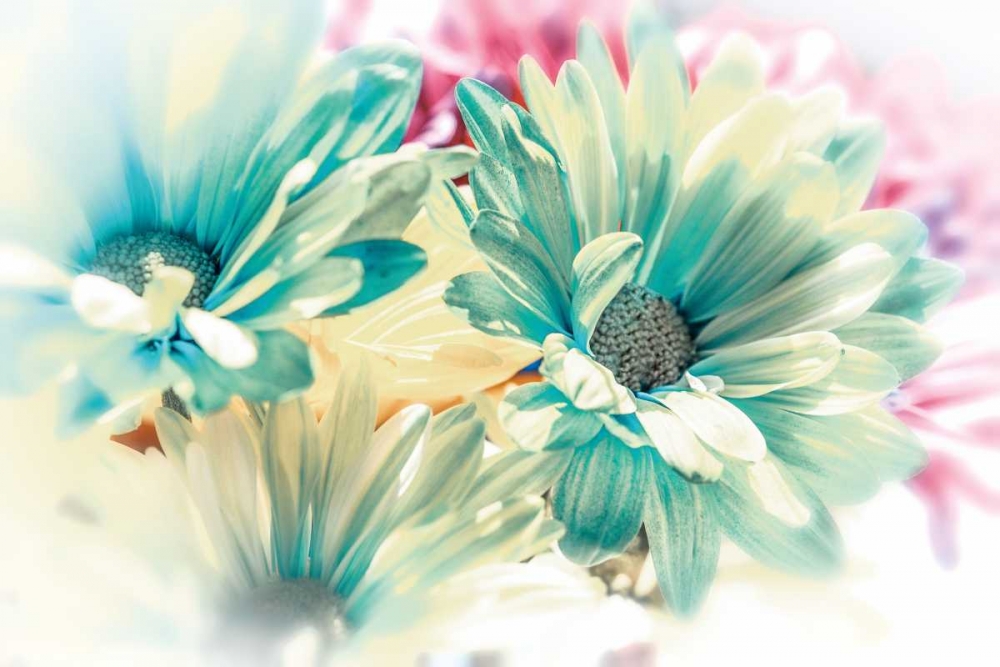 Colored Stars art print by Dina Marie for $57.95 CAD