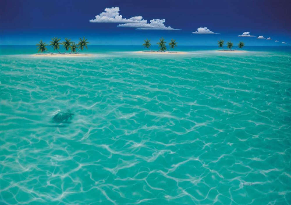 Turtle Crossing art print by Dan Mackin for $57.95 CAD