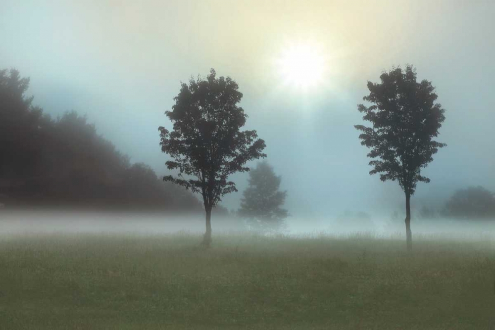 Sunburst art print by Monte Nagler for $57.95 CAD