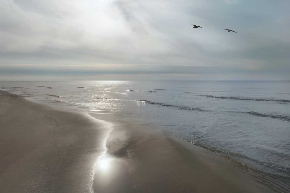 Beach Flight art print by Monte Nagler for $57.95 CAD