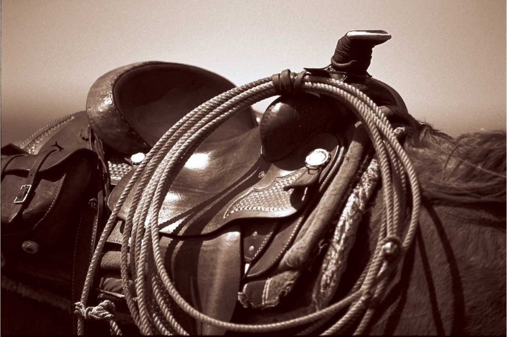 Saddling art print by James OMara for $57.95 CAD