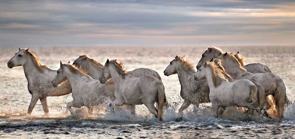 Running Horses art print by Xavier Ortega for $57.95 CAD