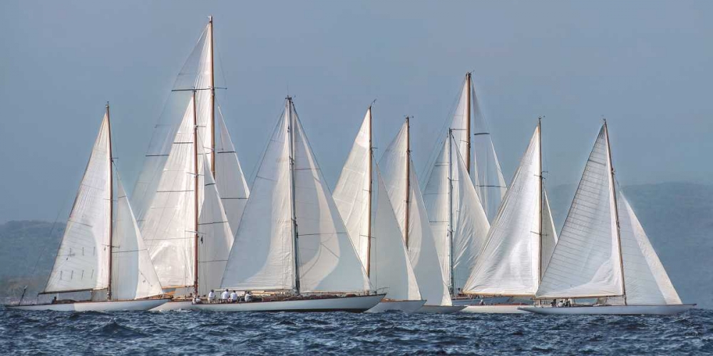 Sailing Team art print by Xavier Ortega for $57.95 CAD