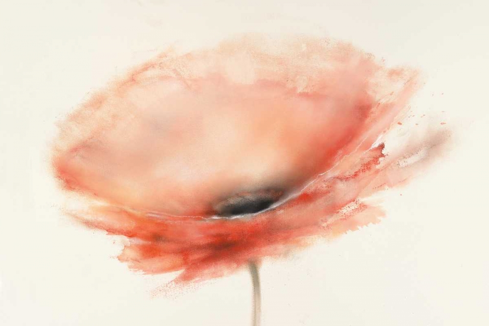 Chiffon Poppy art print by J.P. Prior for $57.95 CAD