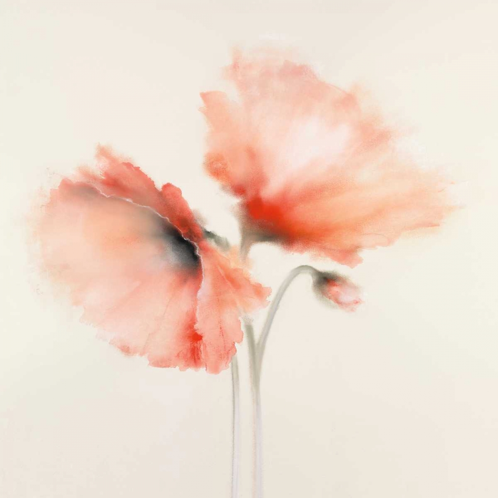 Pink Chiffon I art print by J.P. Prior for $57.95 CAD