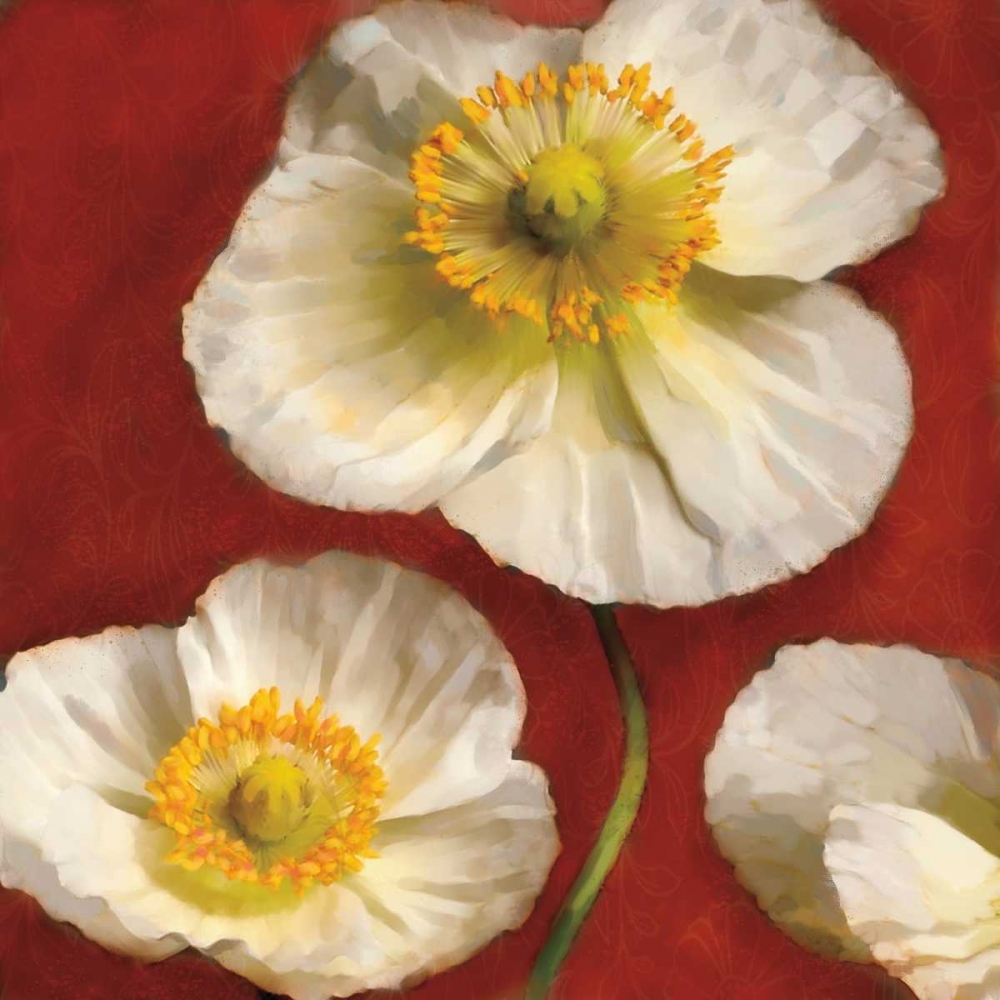 Poppy Elegance II art print by Janel Pahl for $57.95 CAD