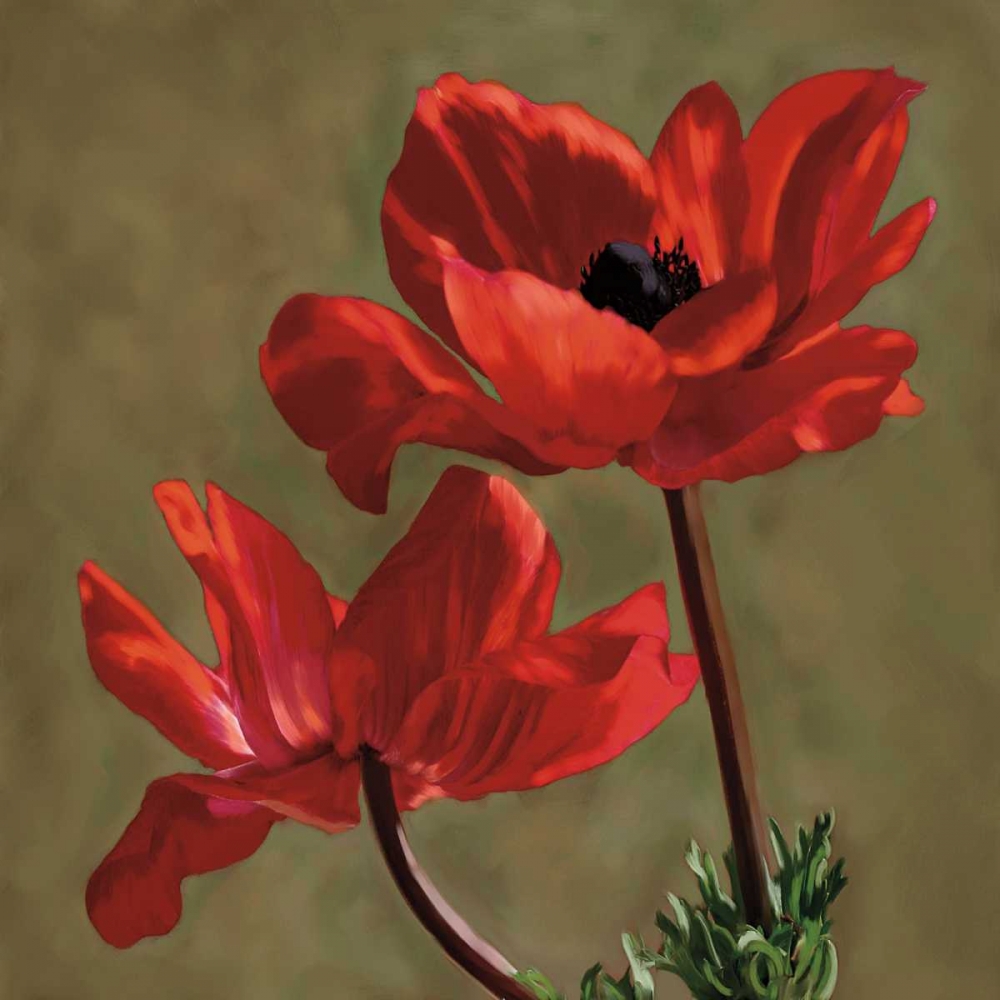 Brilliance I art print by Janel Pahl for $57.95 CAD