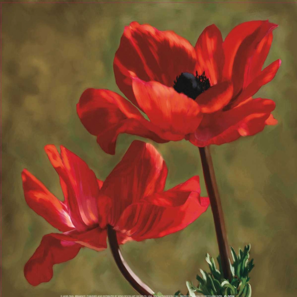 Brilliance I art print by Janel Pahl for $57.95 CAD