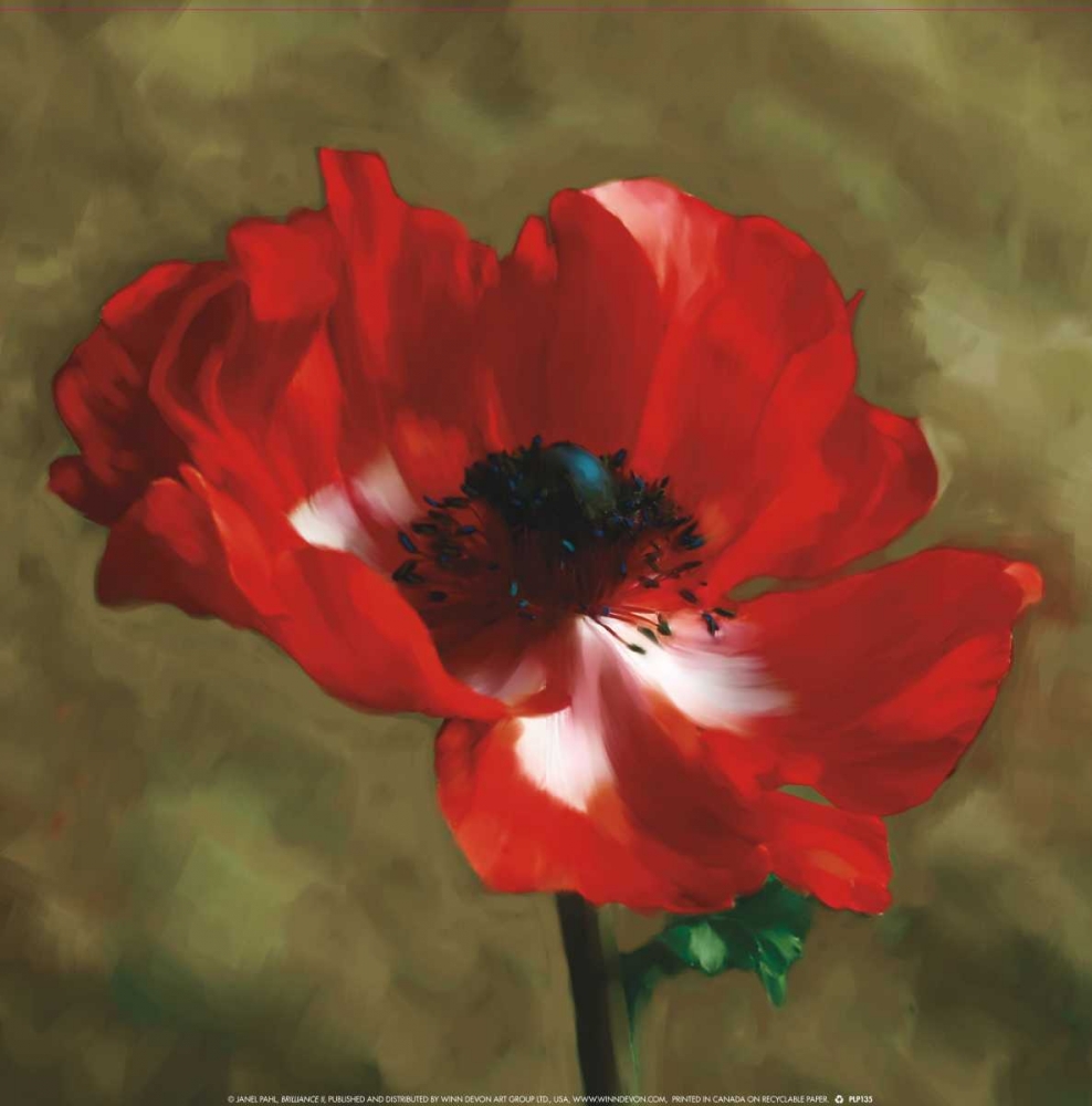 Brilliance II art print by Janel Pahl for $57.95 CAD