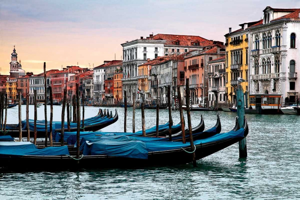 Dawn in Venice art print by Janel Pahl for $57.95 CAD