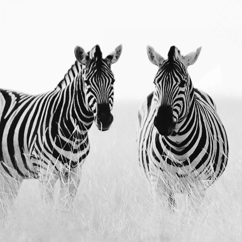 Rendezvous II art print by Nina Papiorek for $57.95 CAD