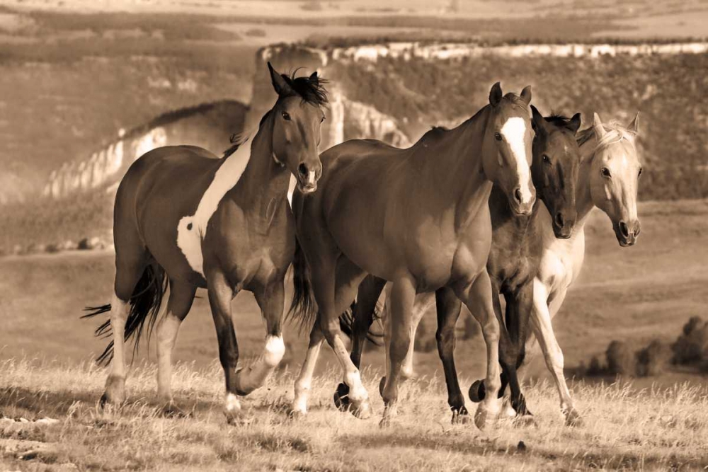 Morning Stroll art print by Wendy Caro for $57.95 CAD
