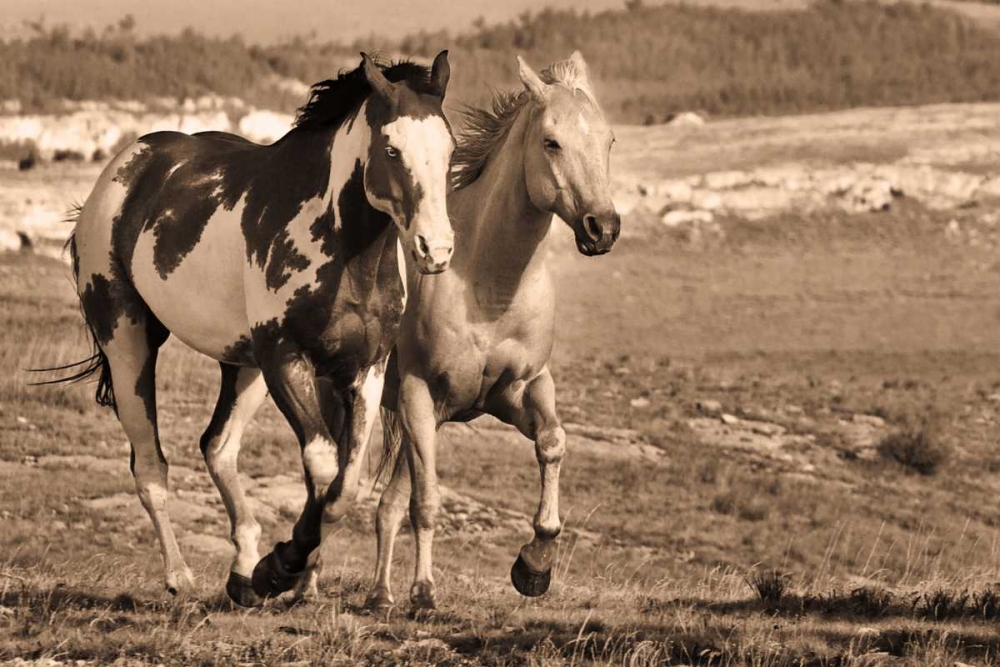 Wait Up art print by Wendy Caro for $57.95 CAD