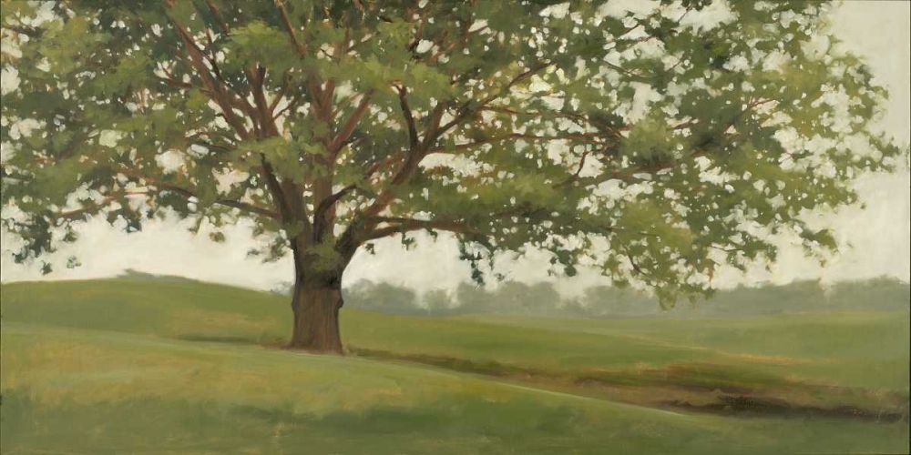 Wisdom Grows art print by Megan Lightell for $57.95 CAD