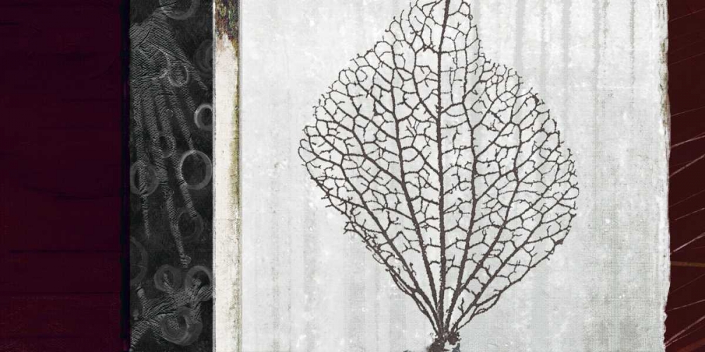 Coral I art print by Noah Li-Leger for $57.95 CAD