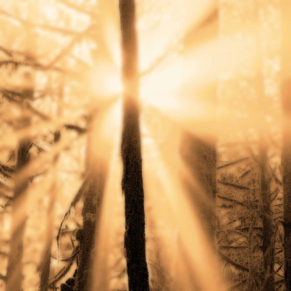 Epiphany II art print by Marvin Pelkey for $57.95 CAD