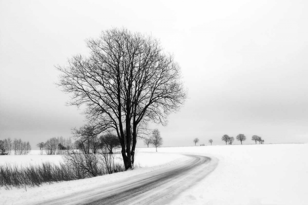 The Way Home art print by lly Szilagyi for $57.95 CAD