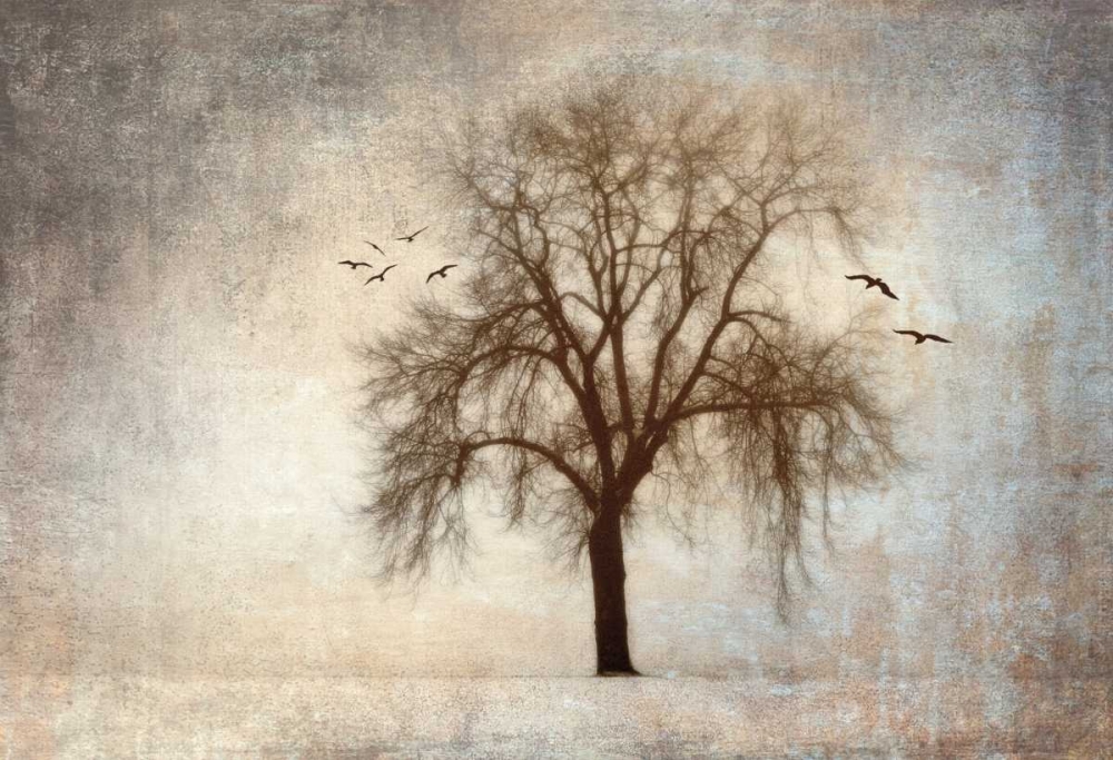 Treehouse art print by Ily Szilagyi for $57.95 CAD