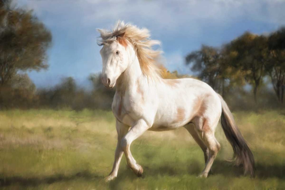 Liberty Dance art print by Wendy Caro for $57.95 CAD