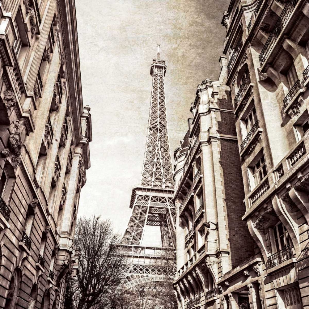 Looking Up art print by Assaf Frank for $57.95 CAD