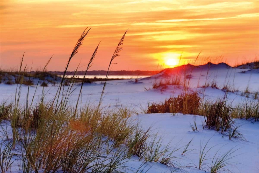Seashore Sunset art print by Mike Jones for $57.95 CAD