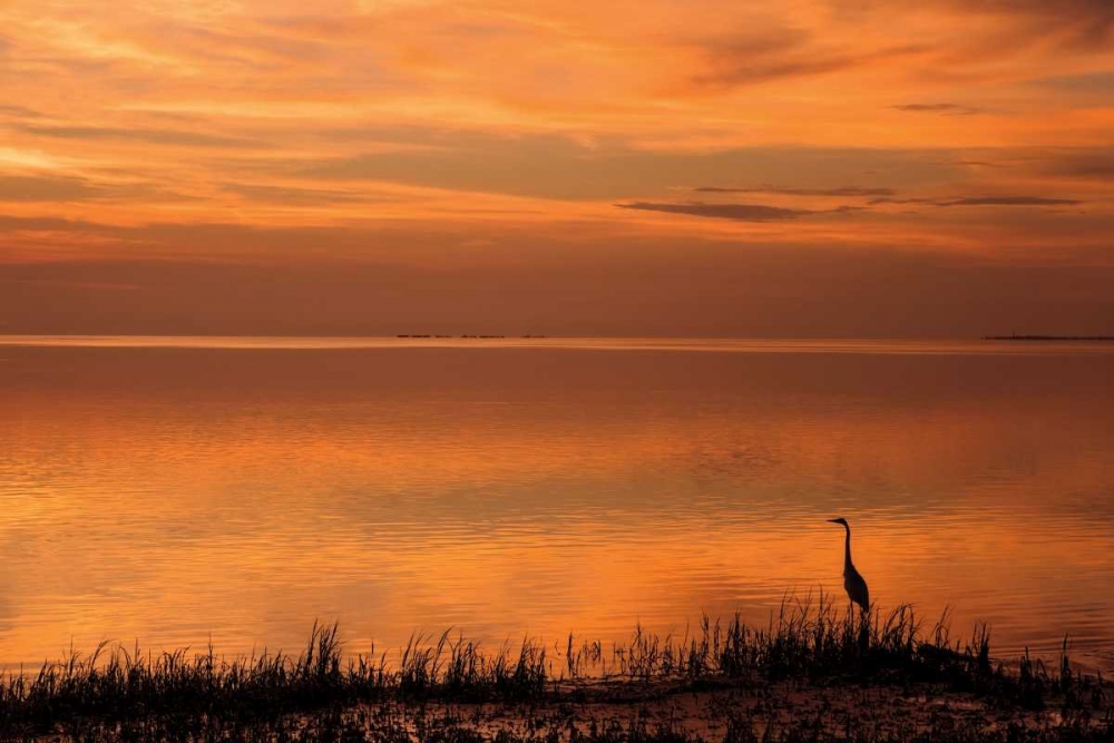 Crystal Beach Sunset art print by Mike Jones for $57.95 CAD